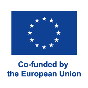 Co-funded by the European Union